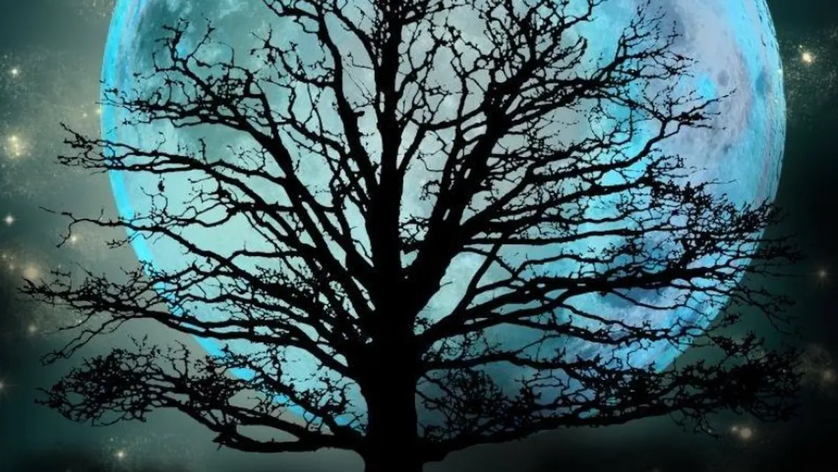 Concert du duo Hang Métiss