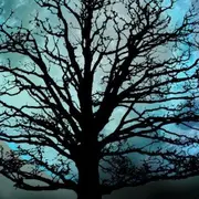 Concert du duo Hang Métiss