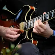 Concert du groupe Greencut