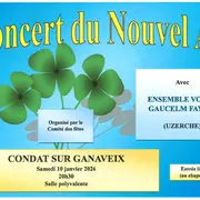 Concert du Nouvel An
