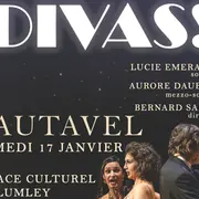 Concert Du Nouvel An