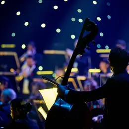 Concert du Nouvel An de l'Orchestre philharmonique de Strasbourg
