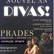 Concert Du Nouvel An: Divas!