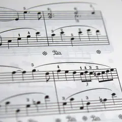 Concert du quatuor à cordes Carré de dames