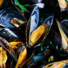 Concert : Duo Fusion + moules frites