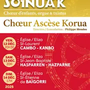 Concert : Eguberriko Soinuak