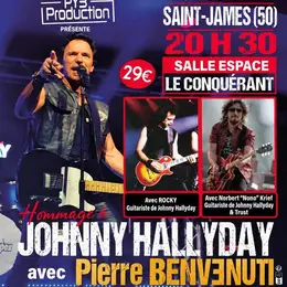 Concert en hommage à Johnny Hallyday