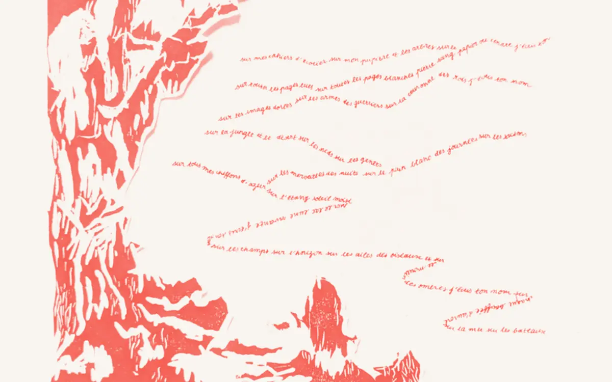 Concert Ensemble Vide