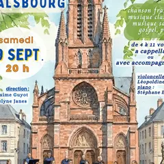 Concert ensemble vocal Novo Genere