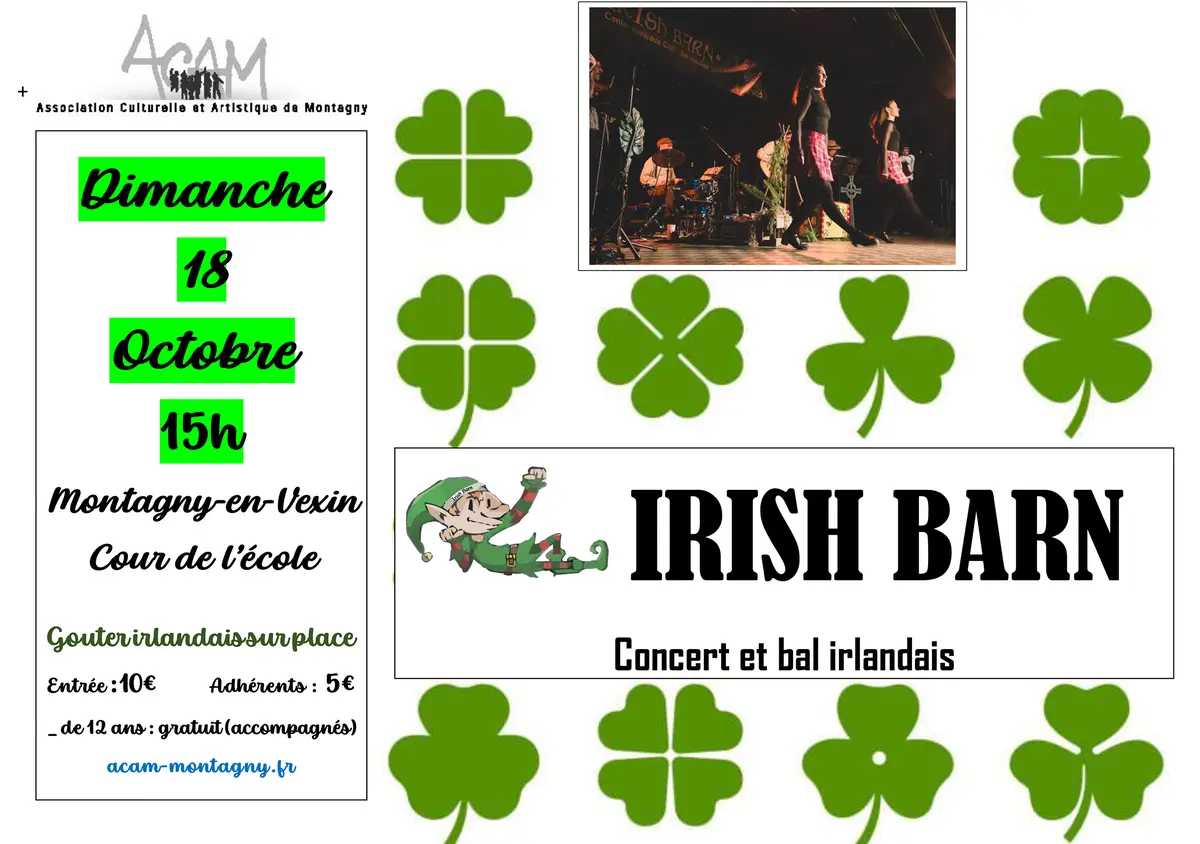Concert et Bal Irlandais