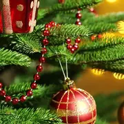 Concert et marché de noël à St Laurent d'Arce