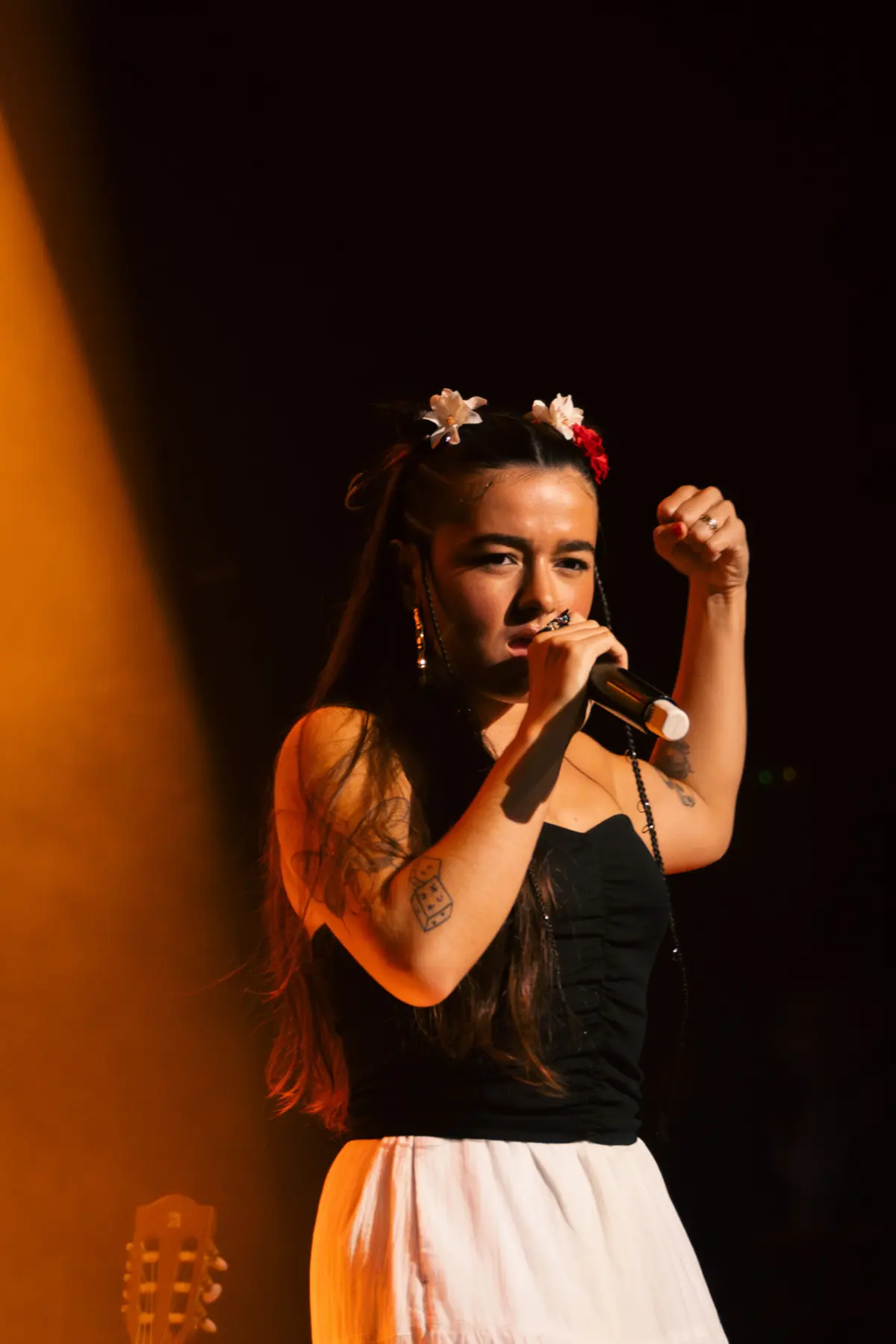 Concert & Tapas avec Emmafleurs