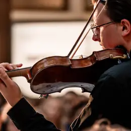 Concert famille Animalia : Le carnaval des animaux - l'Hôtel de la Marine