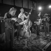 Concert Fêtes de la musique avec les ROMANO DANDIES
