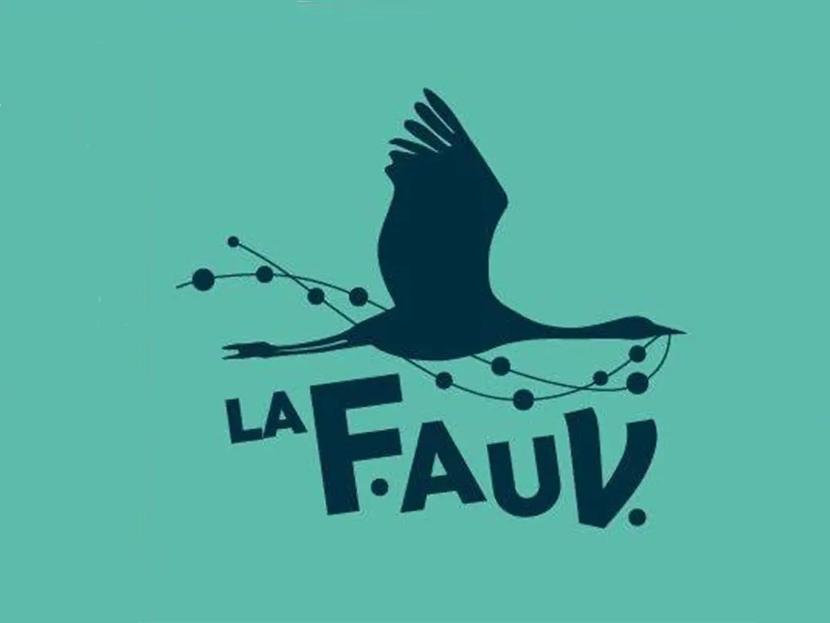 Concert / Goliath & Back and Forth, Alma Rechtman