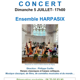 Concert Harpasix