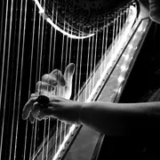 Concert - Harpes en accords croisés