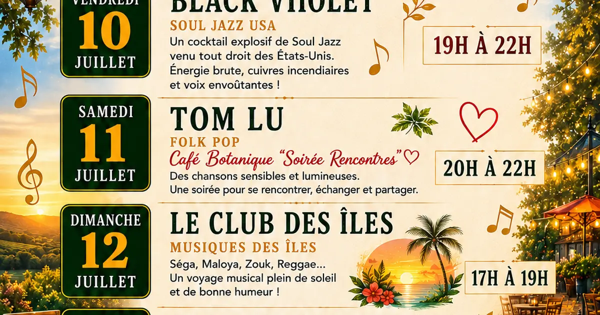 Concert Hippies's not dead