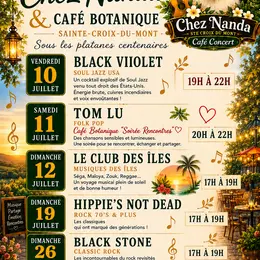 Concert Hippies's not dead