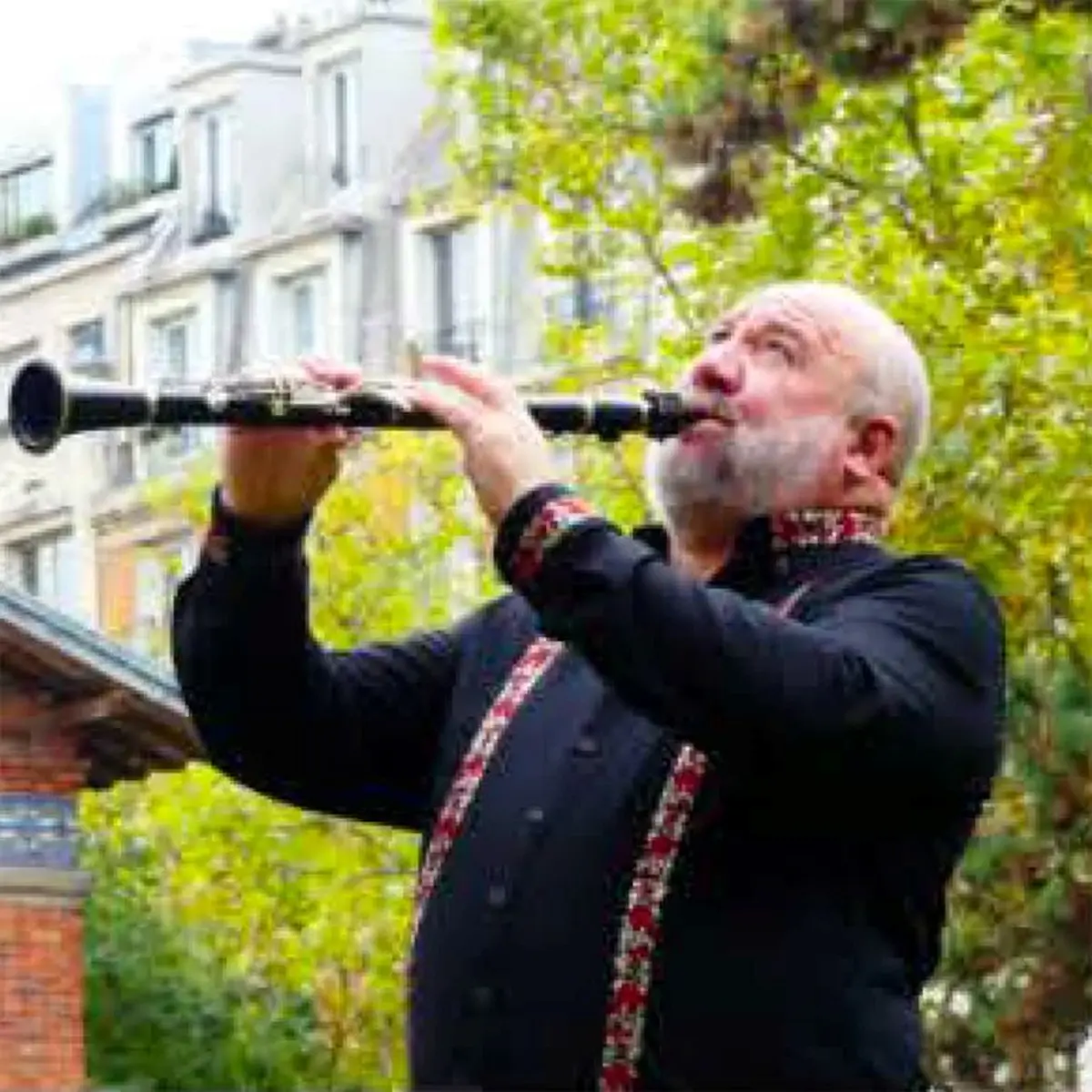 Concert - Hommage à Django