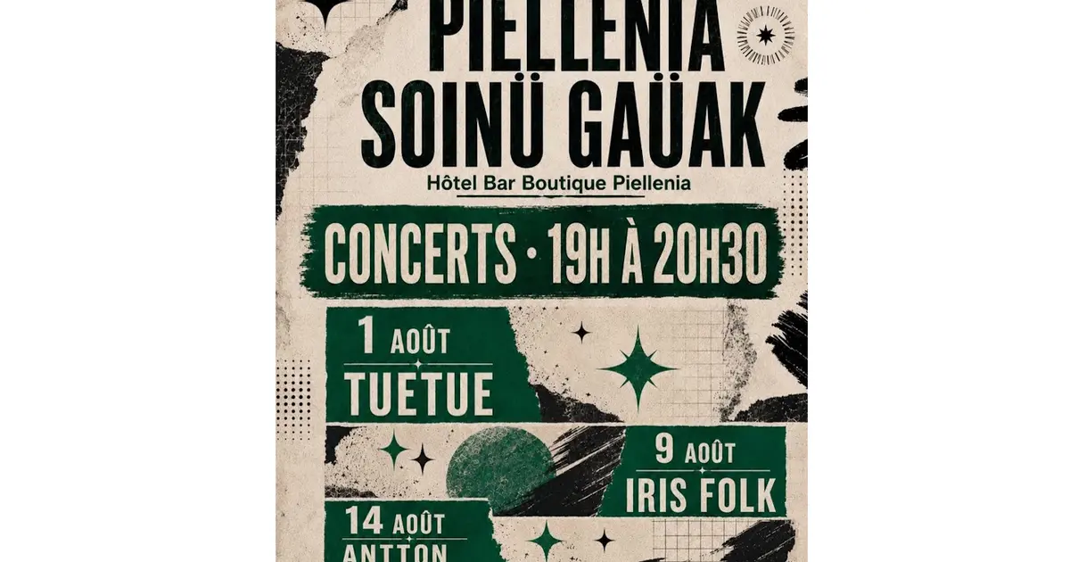 Concert : Iris folk