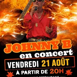 Concert Johnny B