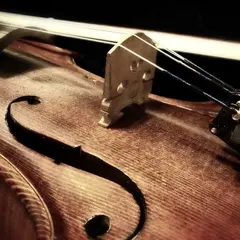 Concert L'Esprit de Notre-Dame de Paris