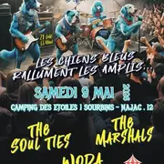 Concert - La nuit des Chiens Bleus 21ième edition