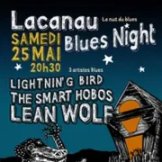 Concert : La nuit du blues - sur réservation