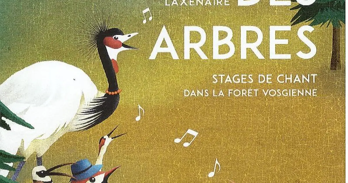 Concert le Chant des Arbres