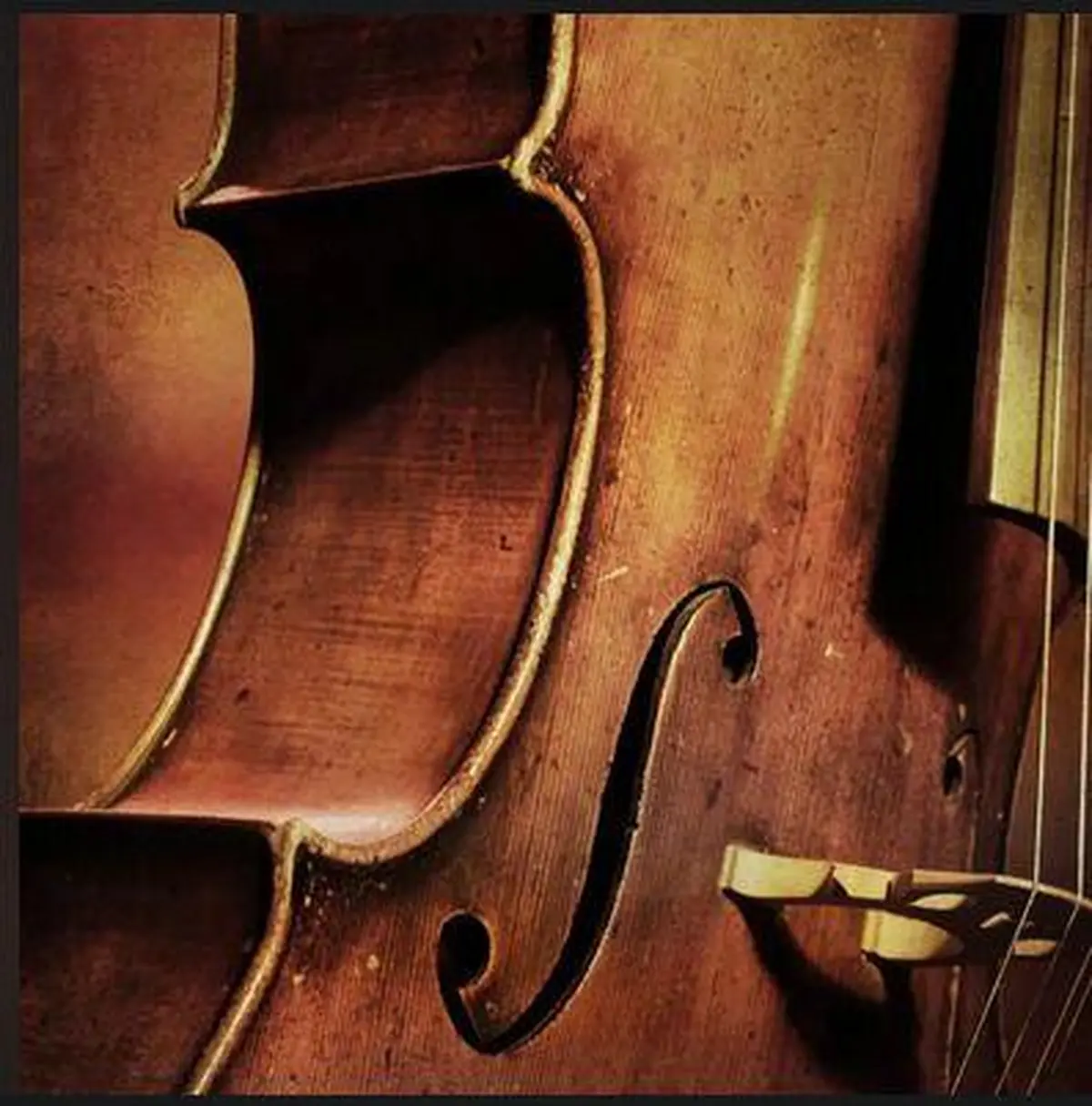 Concert : Le XIXème dans les oreilles, quatuor à corde