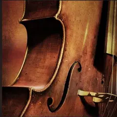 Concert : Le XIXème dans les oreilles, quatuor à corde