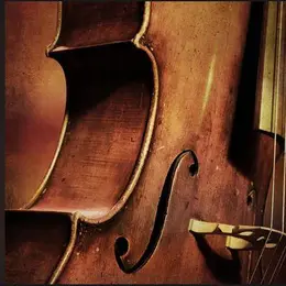 Concert : Le XIXème dans les oreilles, quatuor à corde
