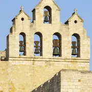 Concert lecture en hommage à Saint François d’Assise