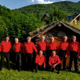 Concert - Les Copains D'Abord