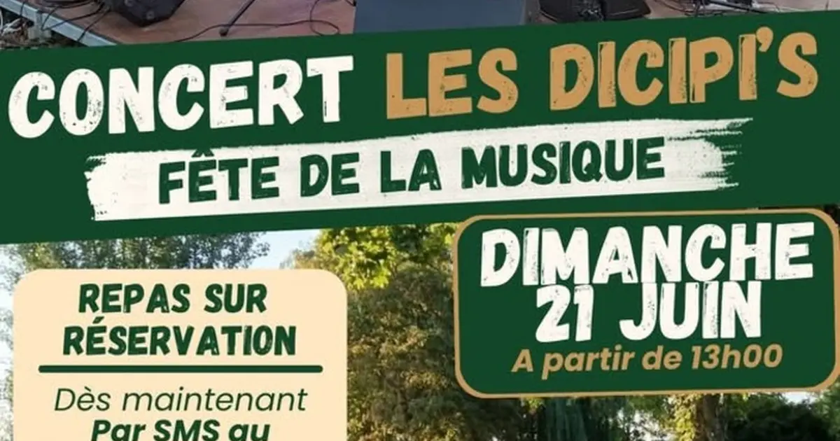 Concert les Dicipi's
