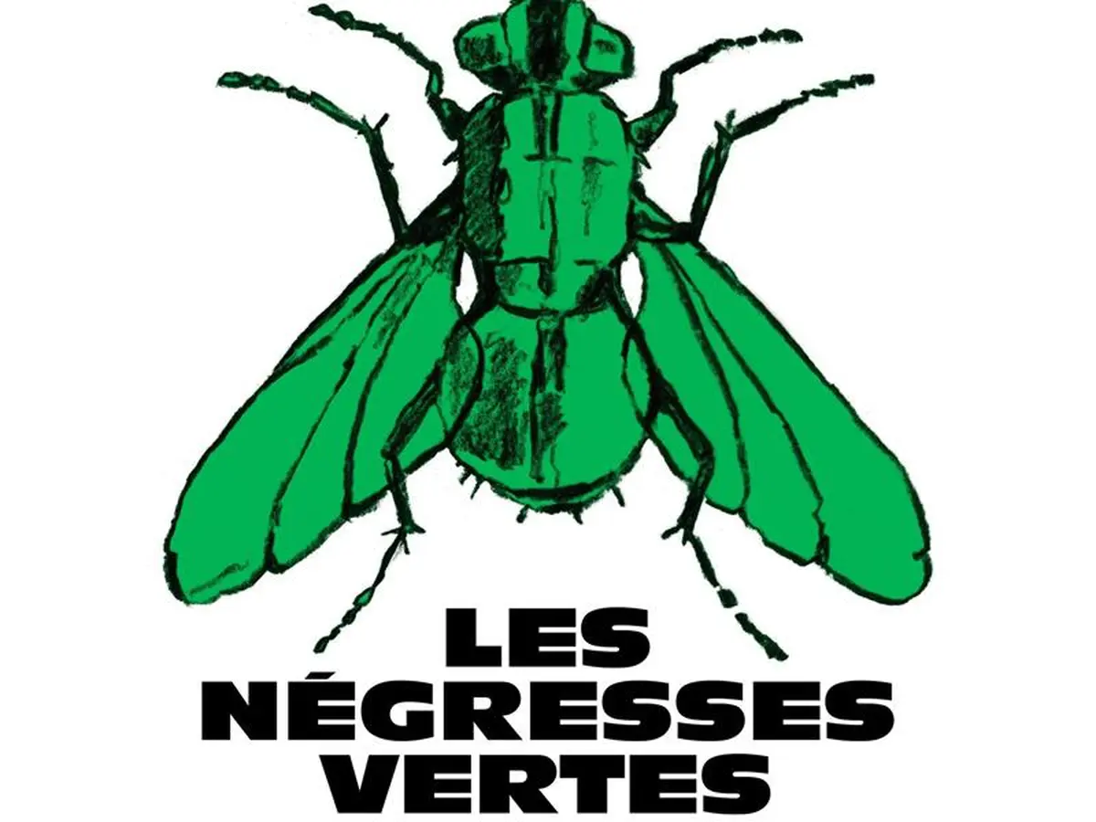 Concert les Négresses Vertes