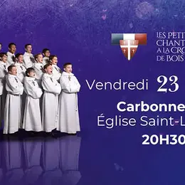 Concert Les Petits Chanteurs à La Croix De Bois