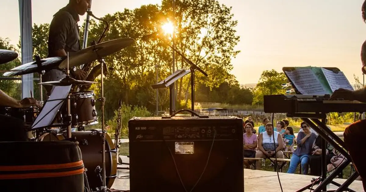 Concert Les Rapaces