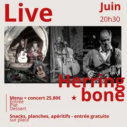 Concert Live Herring bone