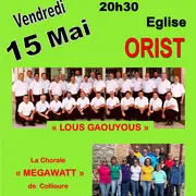 Concert Lous Gaouyous et Mega Watt