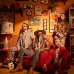 Concert : Magnific Picnic, The Brooks (funk - Canada)