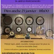 Concert méditatif : Bain de gongs & autres instruments