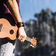 Concert Miaou