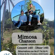 Concert Mimosa