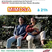 Concert Mimosa