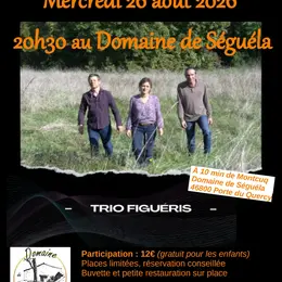 Concert Musique du Monde avec le trio Figueris