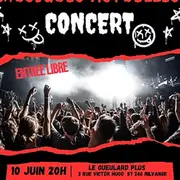 Concert Musiques actuelles