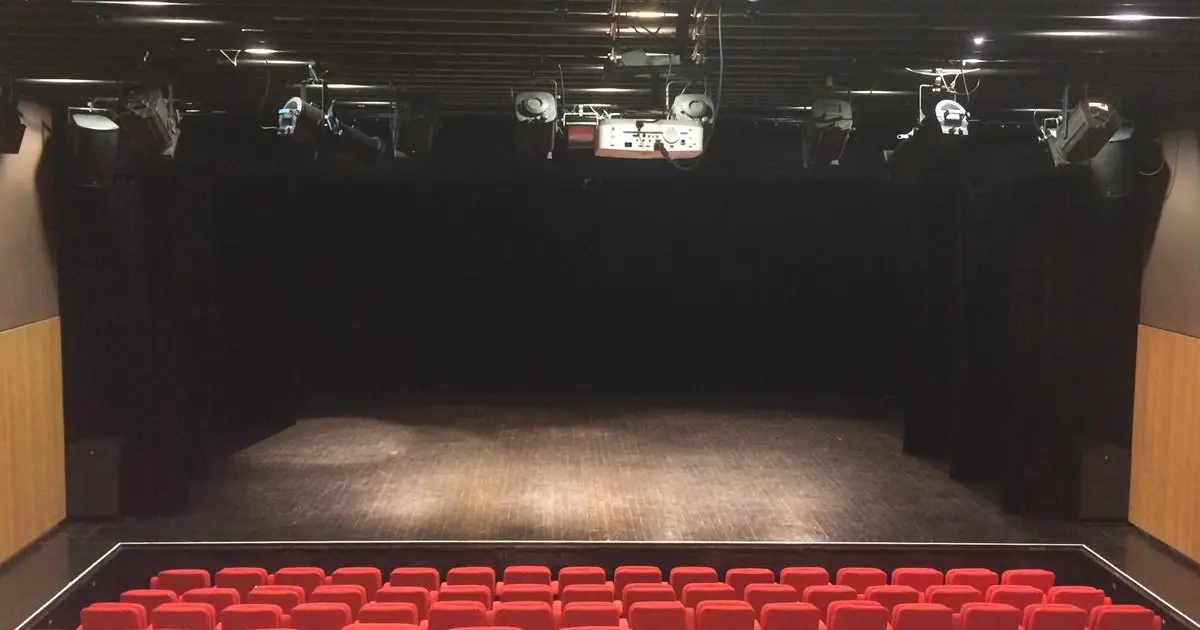 Concert musiques actuelles à la Halle à Vire Normandie