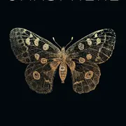 Concert Omasphere, Chryzalis